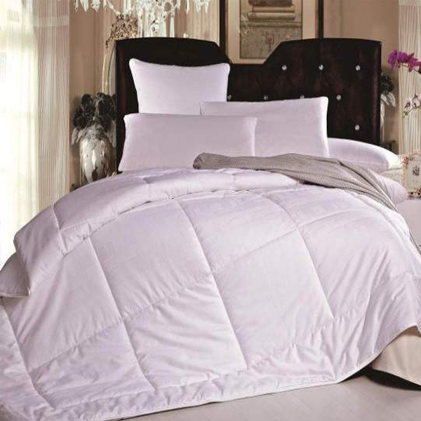 ��˿��˿��