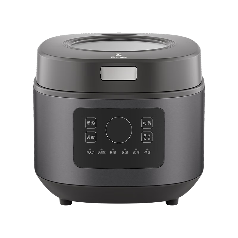 ������˹΢���Ե緹��EGRC6110