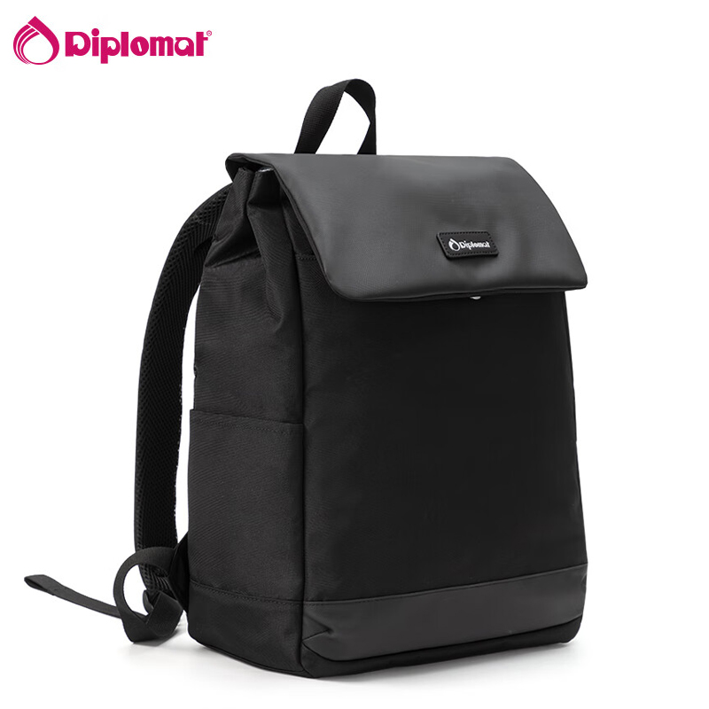 �⽻��˫�米��DS-17006L