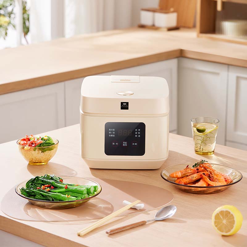 ����3L�������ܵ緹��WK-DFB03D273C/KZ