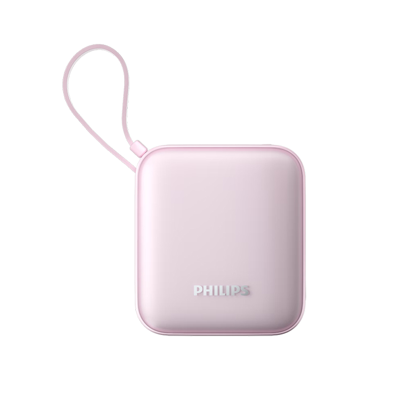 �����ֳ�籦DLP2217