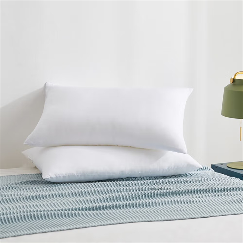 ����������˯����