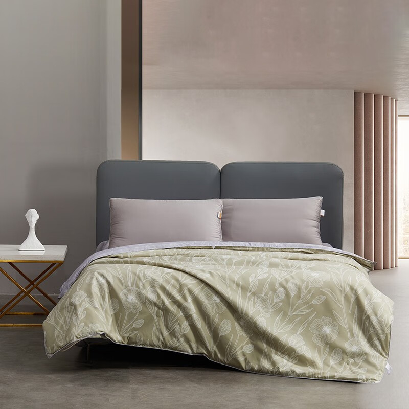 ˮ�Ǽҷ�����֮ѡ��˿��