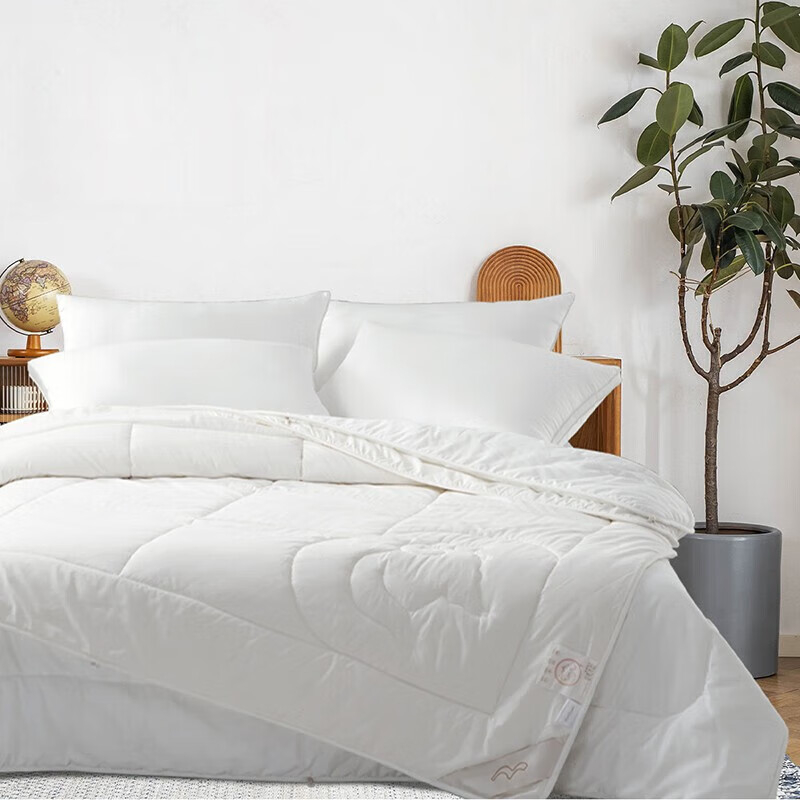 ˮ�Ǽҷ��ſ˰�ë��˿��ĸ��