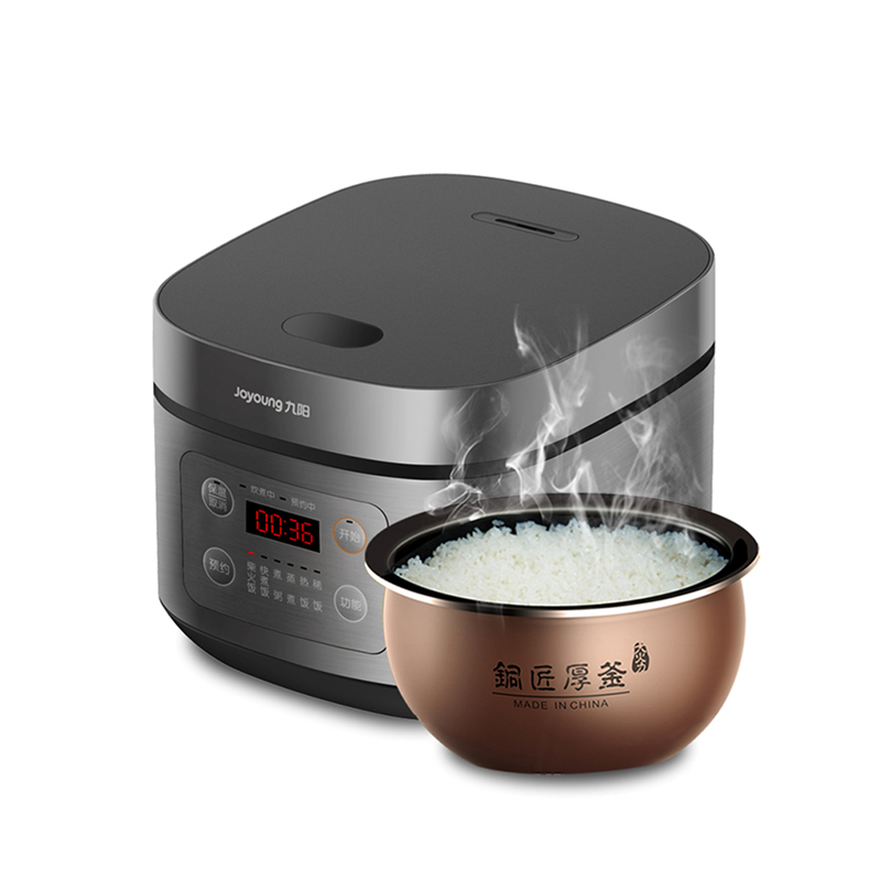 ����΢�������ܵ緹��F40FY-F333