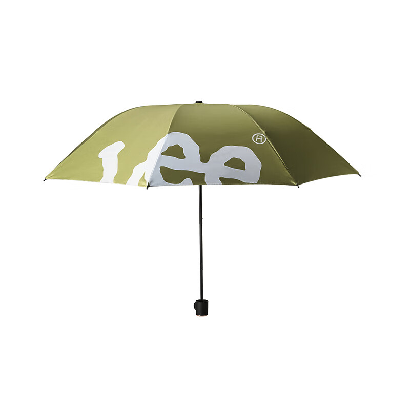 Lee����ʱ���ֶ�ɡLE218004M