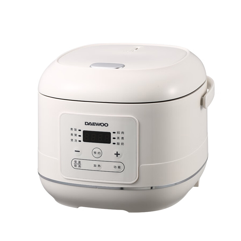 �������ܵ緹��DYFB-40E29