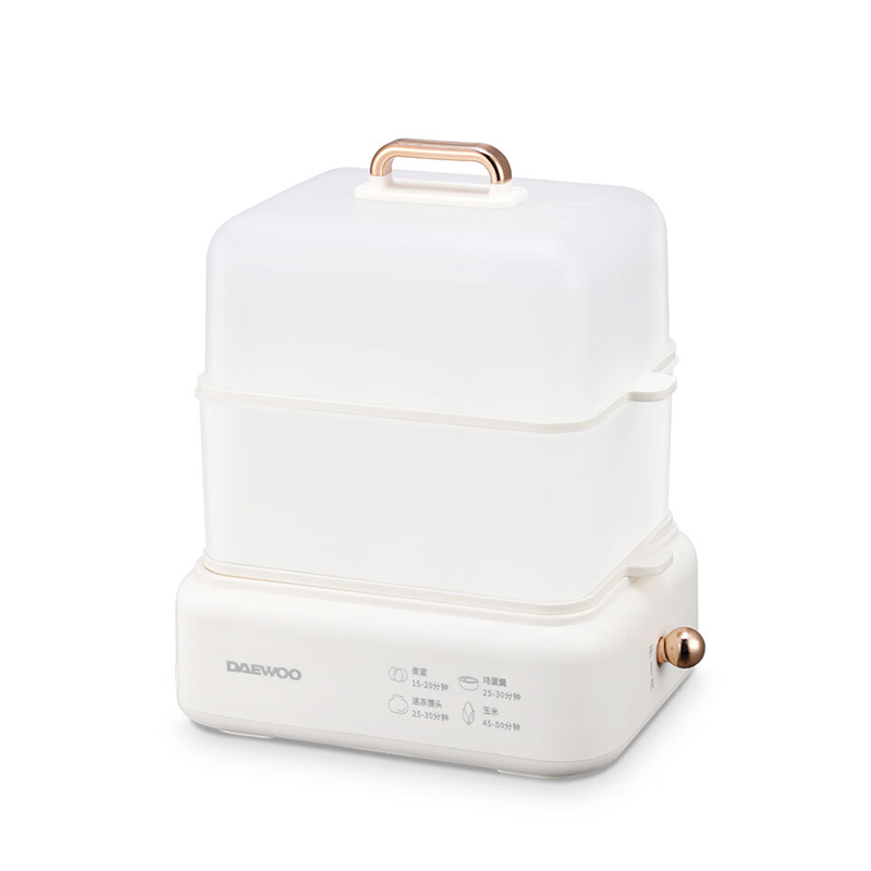 ���������DYZD-20W3