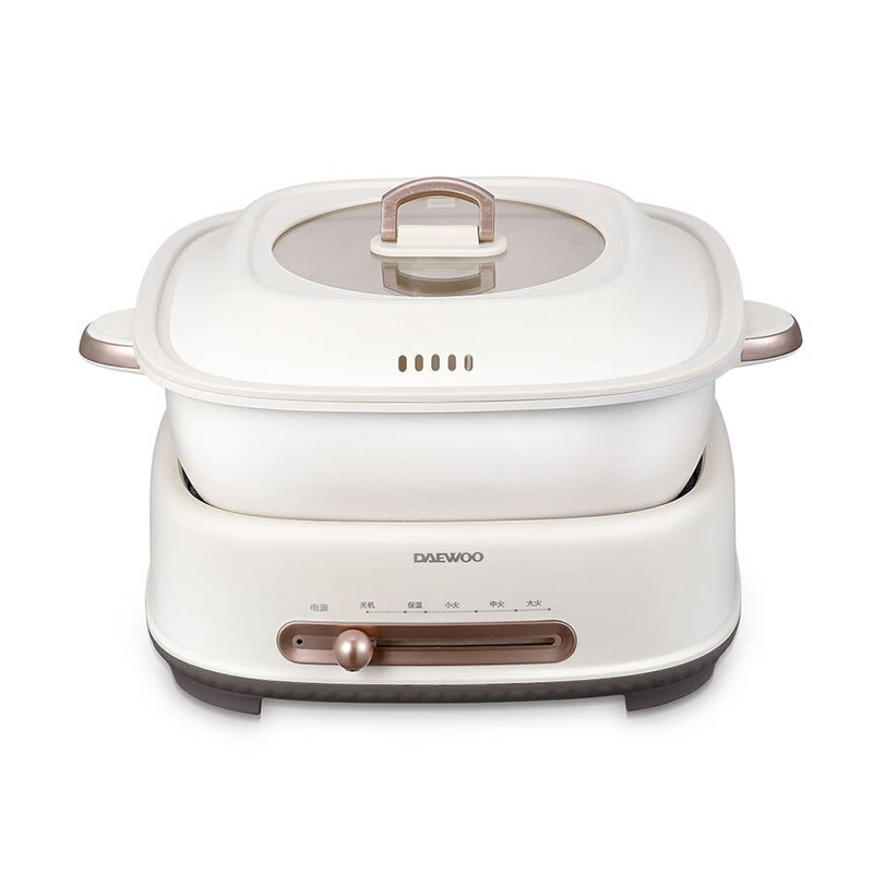 �������ʽԧ�����DYZG-6L16